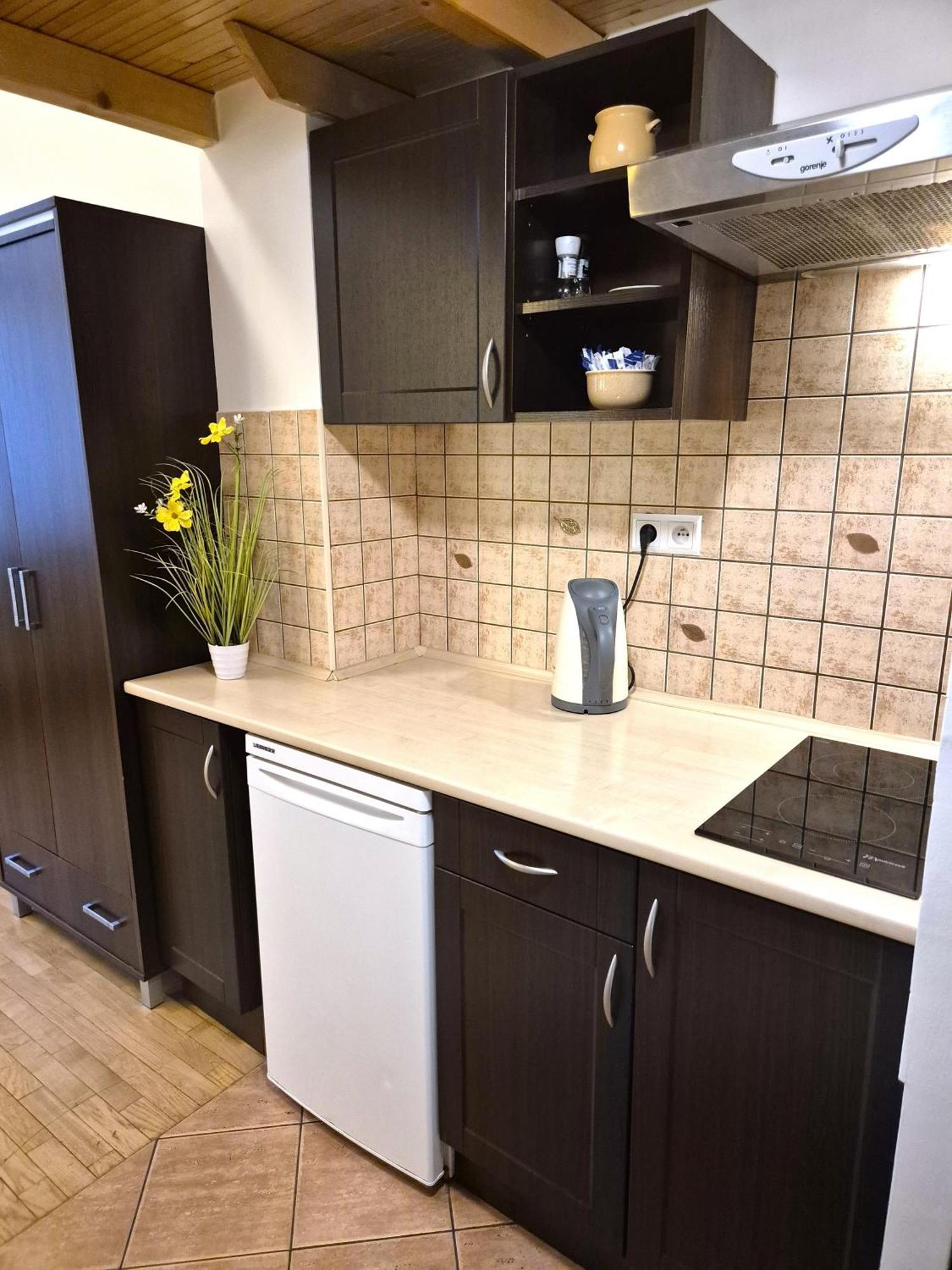 Safona - Pantheon Apartments Krasków Εξωτερικό φωτογραφία